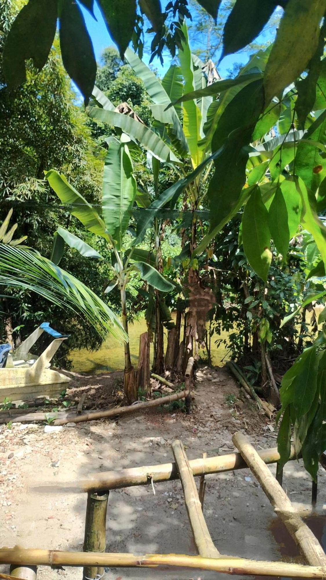 Ubatubambu Acampamento Ubatuba