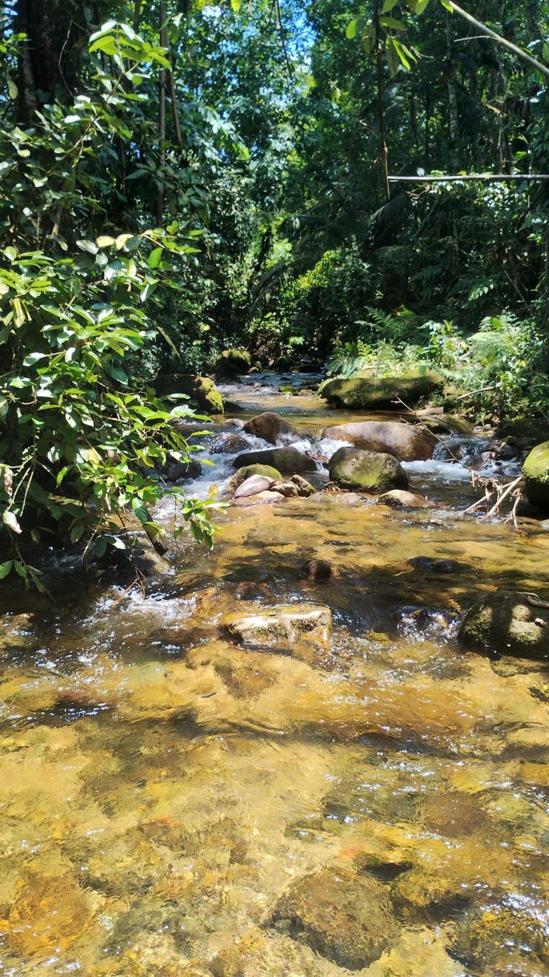 Acampamento Ubatubambu Ubatuba